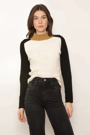 colorblock tneck sweater